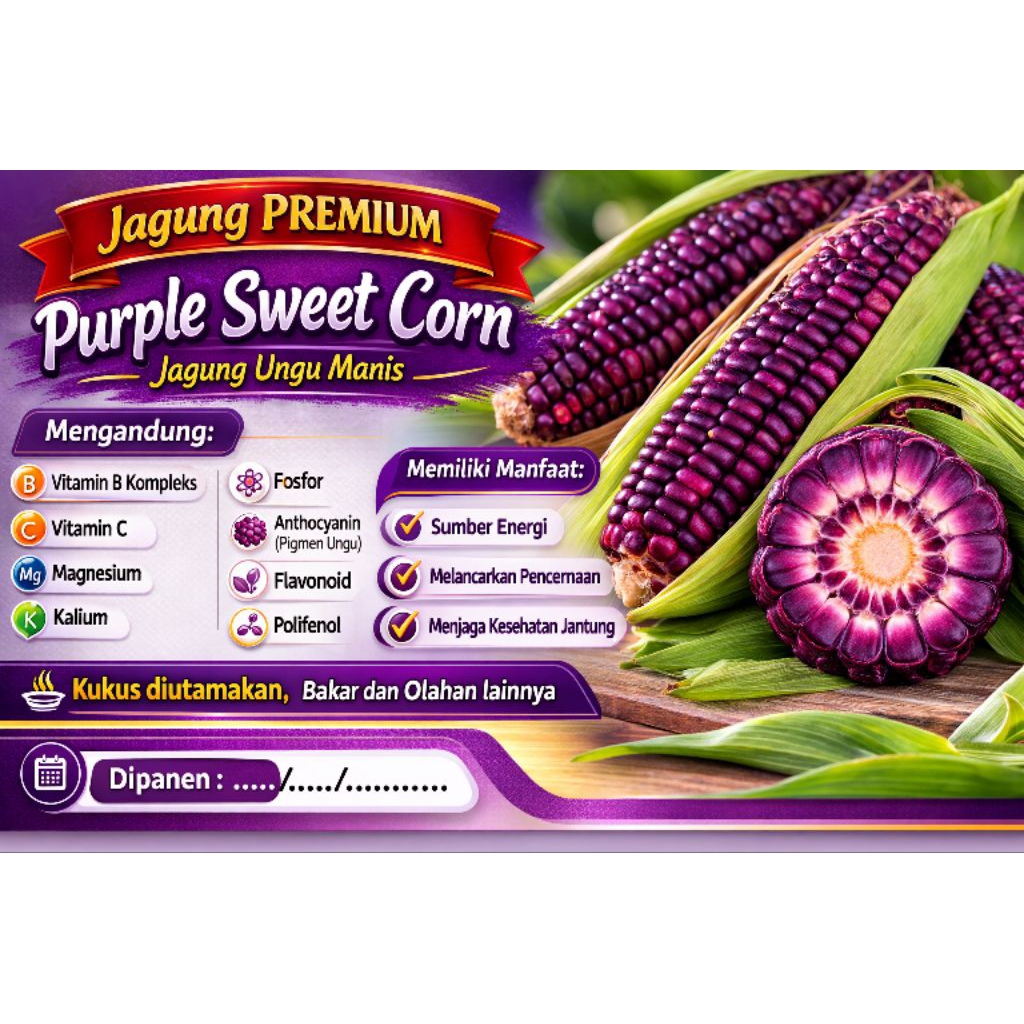 Jagung Segar Premium Manis Ungu (Sweet Purple Corn)