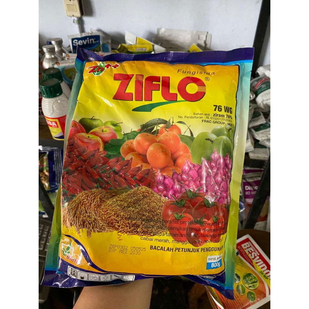 Fungisida ZIFLO 76WG 800GR