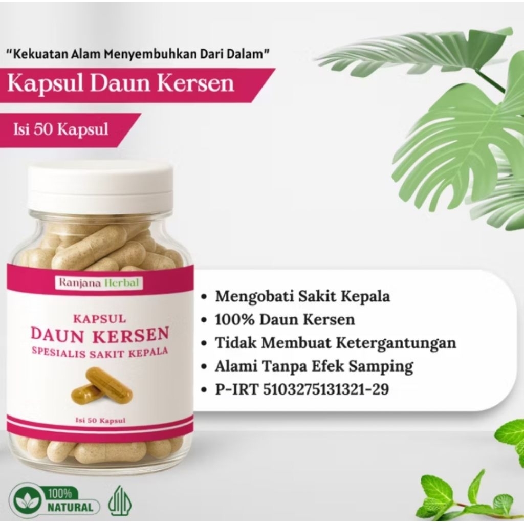 Kapsul Daun Kersen Herbal – Suplemen Herbal Alami (Isi 50 Kapsul)