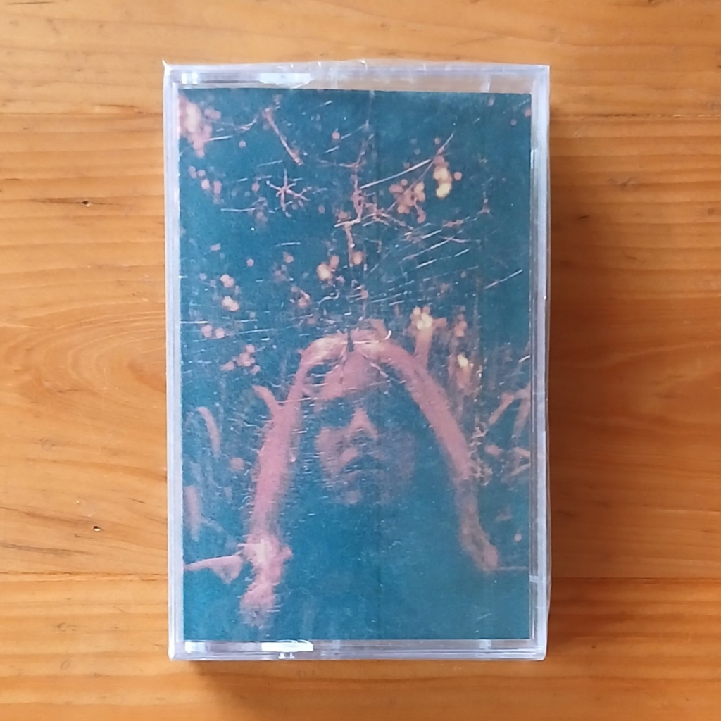Kaset Pita TURNOVER - Peripheral Vision