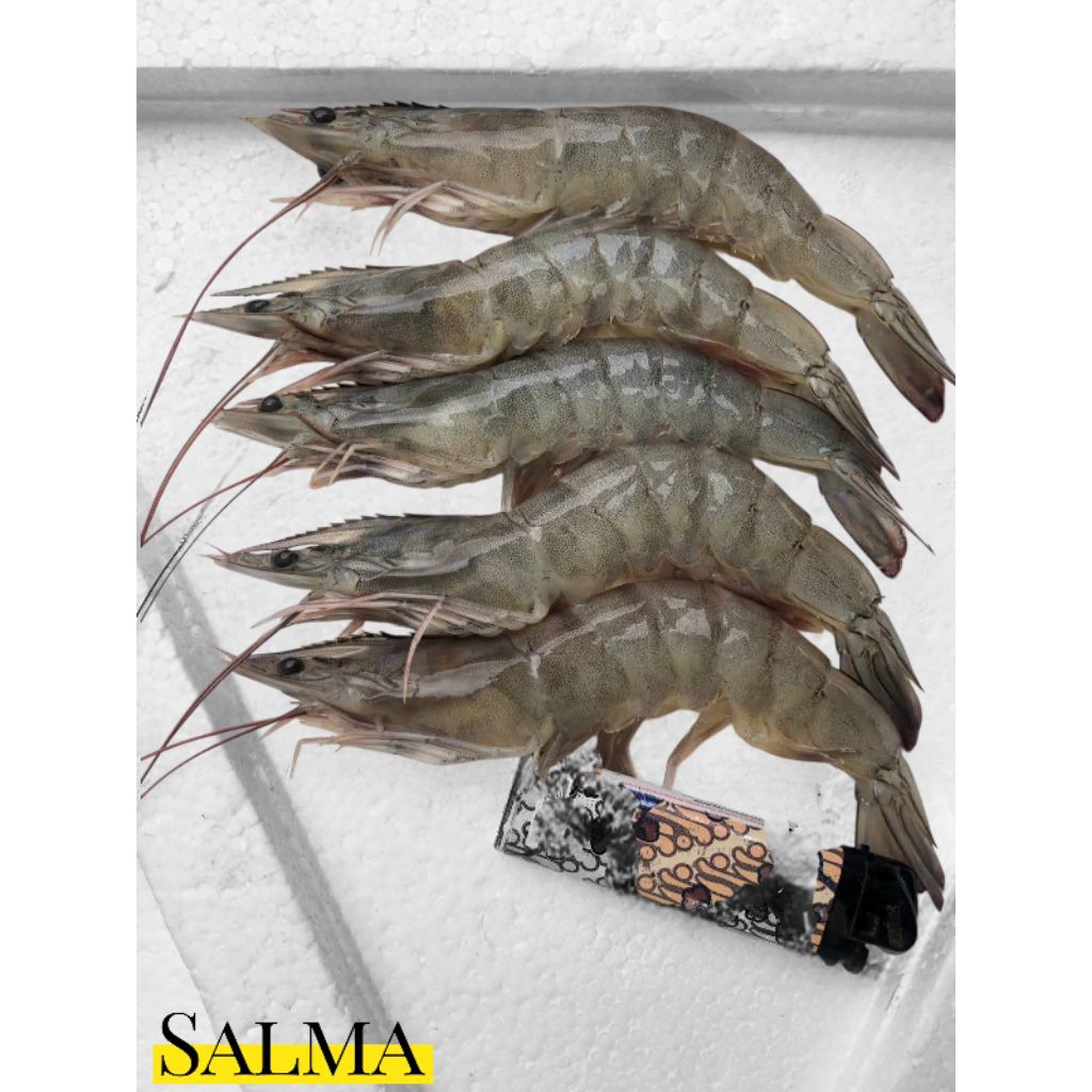 udang vaname segar size udang air tawar kualitas premium
