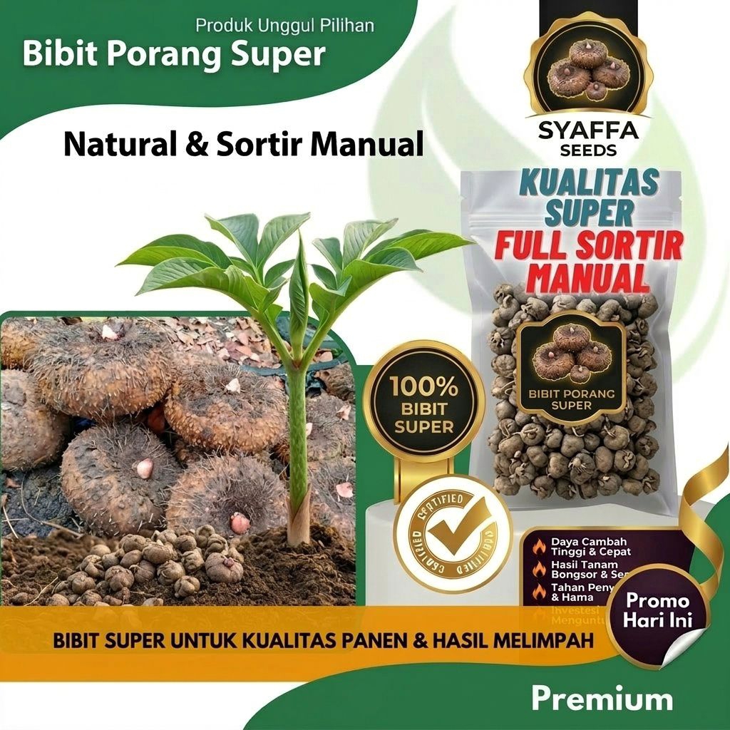 Jual Bibit Porang Super Katak & Umbi Original - Biji Porang Full Sortir Manual Kualitas Ekspor 100% 