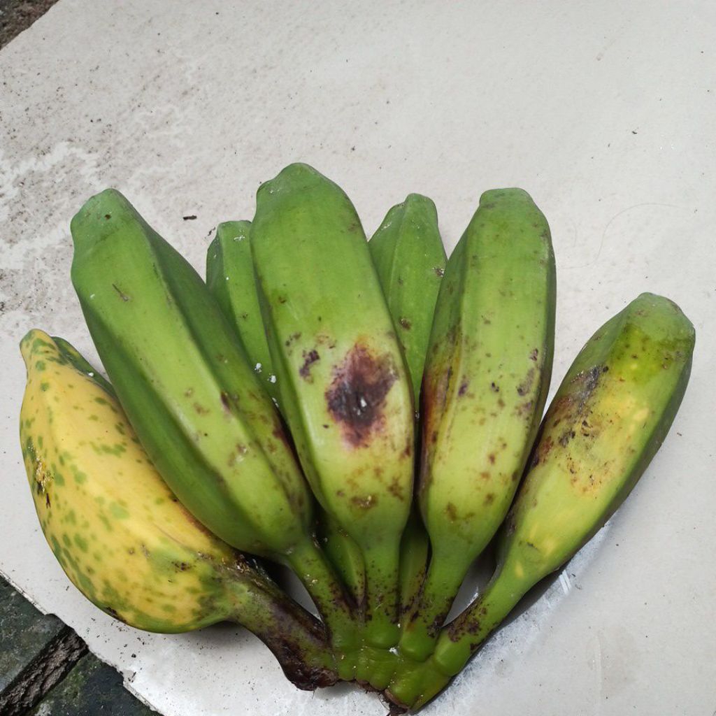 Pisang Kepok Kuning