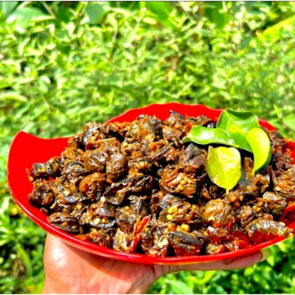 TRENDING Rica Rica Bekicot / Krengsengan Daging 02 / Oseng Oseng Bekicot / Rica Rica Bekicot Pedas L