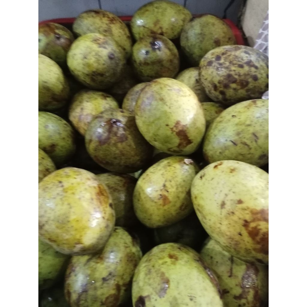 satu kg buah mangga pakel segar