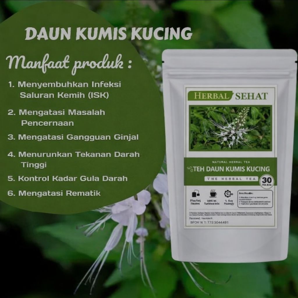 [ ORIGINAL ] TEH DAUN KUMIS KUCING | HERBAL  BATU GINJAL. TEH KESEHATAN.