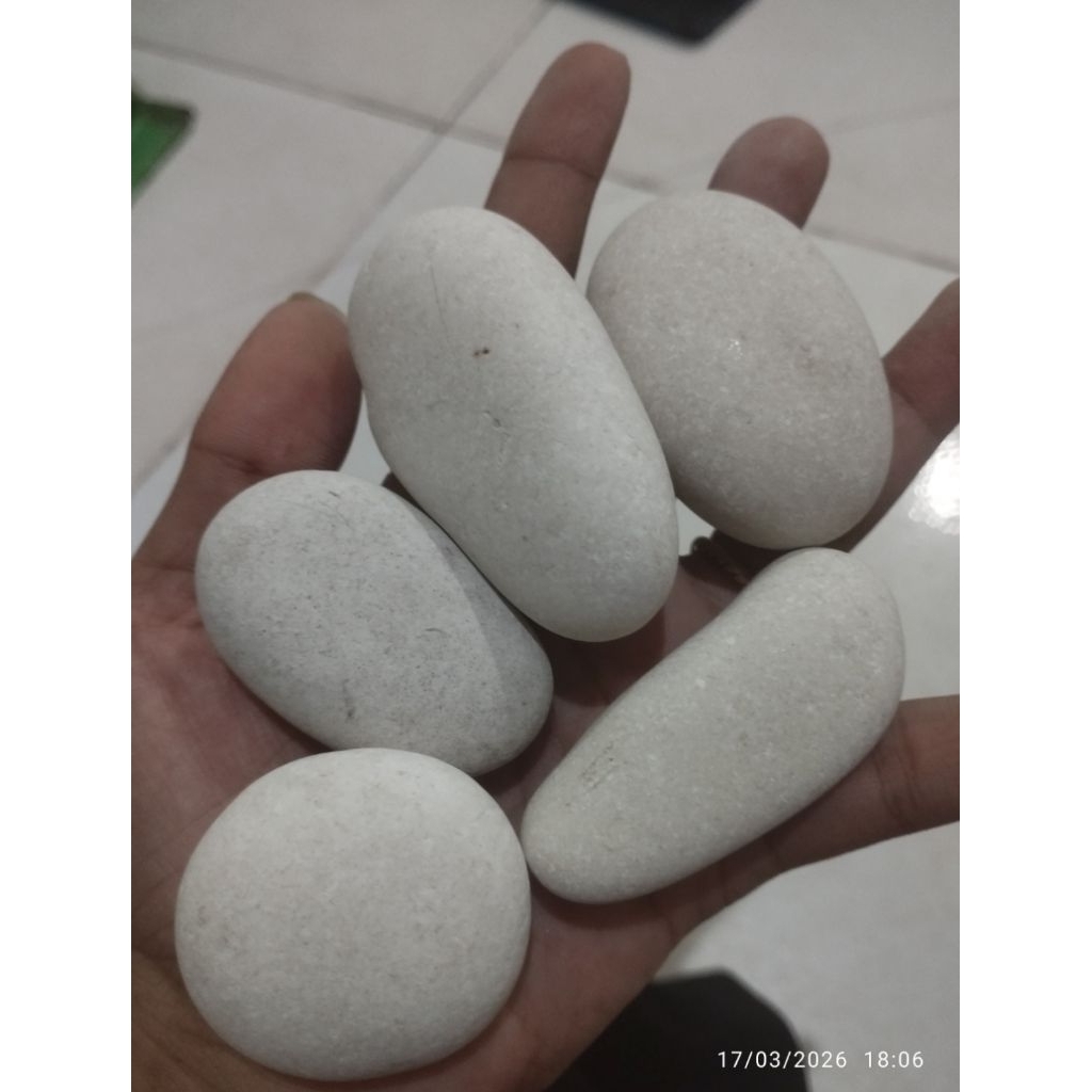 1kg Batu Koral Putih Kupang Batu Taman Batu Makam Batu Hias