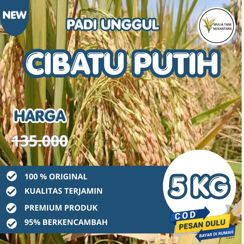 Benih padi cibatu putih kemasan 5kg original