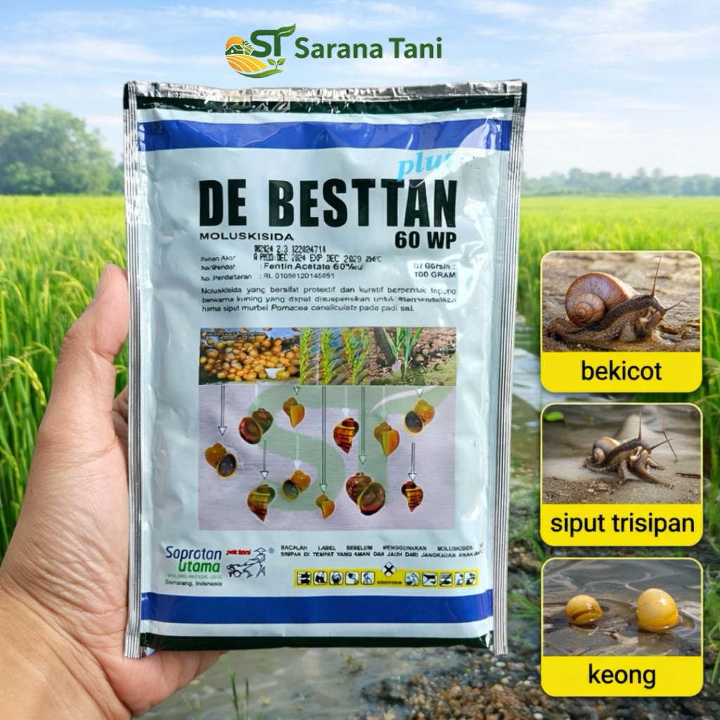 Moluskisida DeBesttan 60 WP 100 Gram Racun Obat Pembasmi Keong Siput Sawah