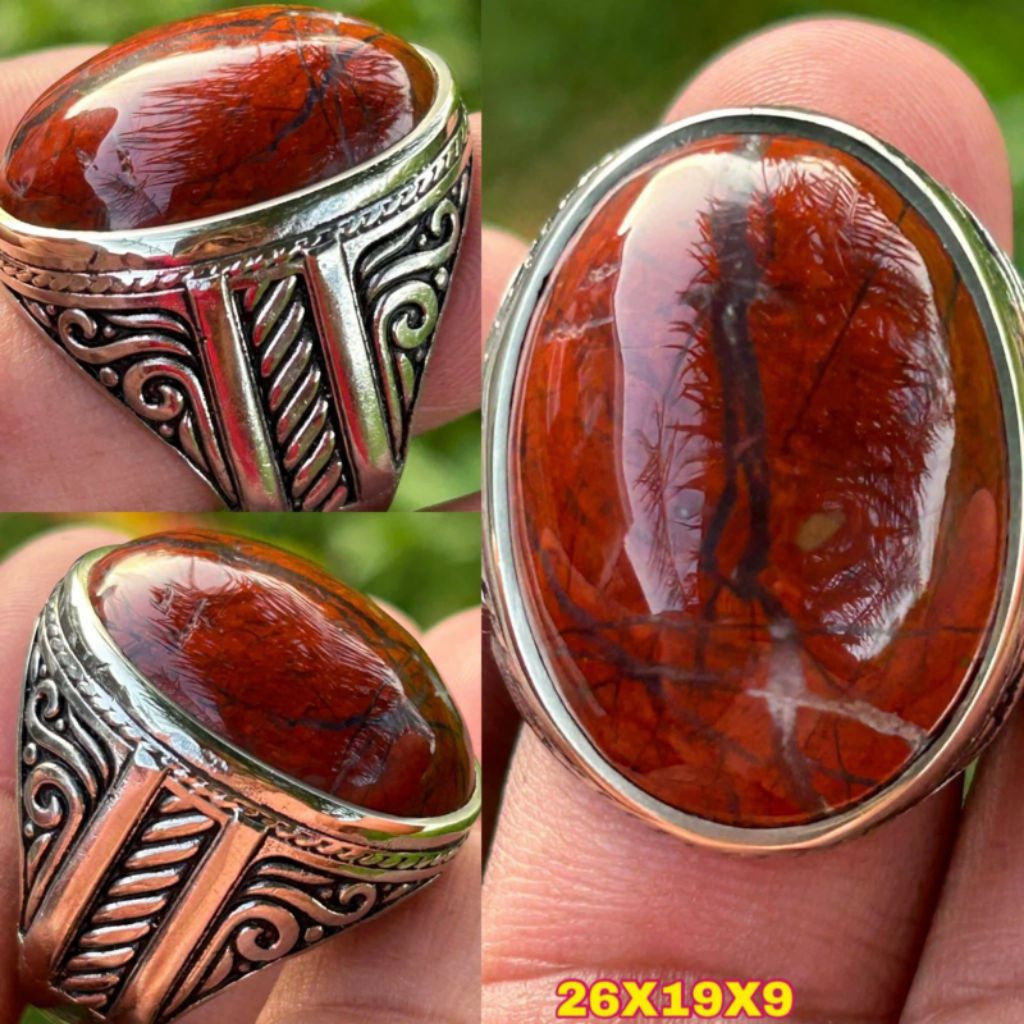 JASPER ATI AYAM KENDIT