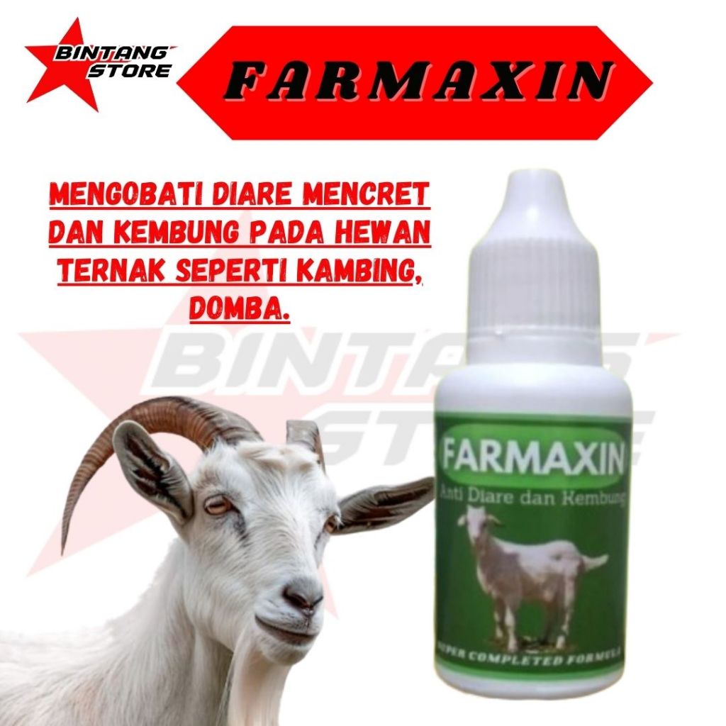 Obat Kembung Mencret Kambing Domba BINTANGSTORE