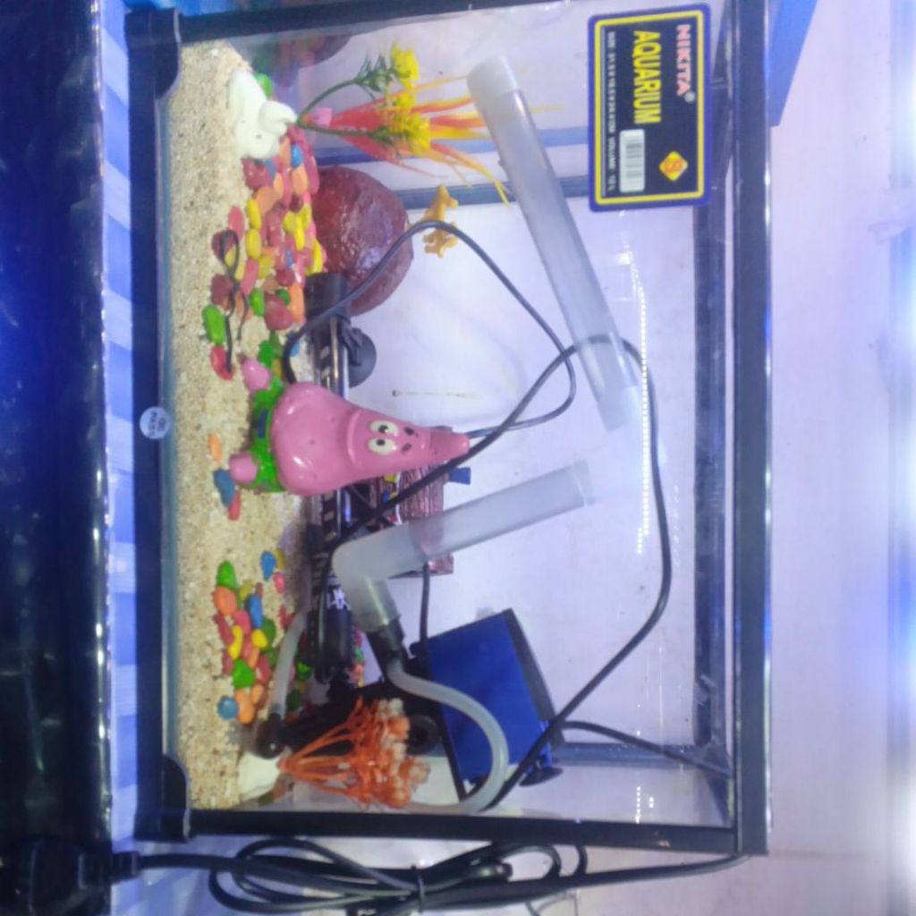 aquarium lengkap 1 set