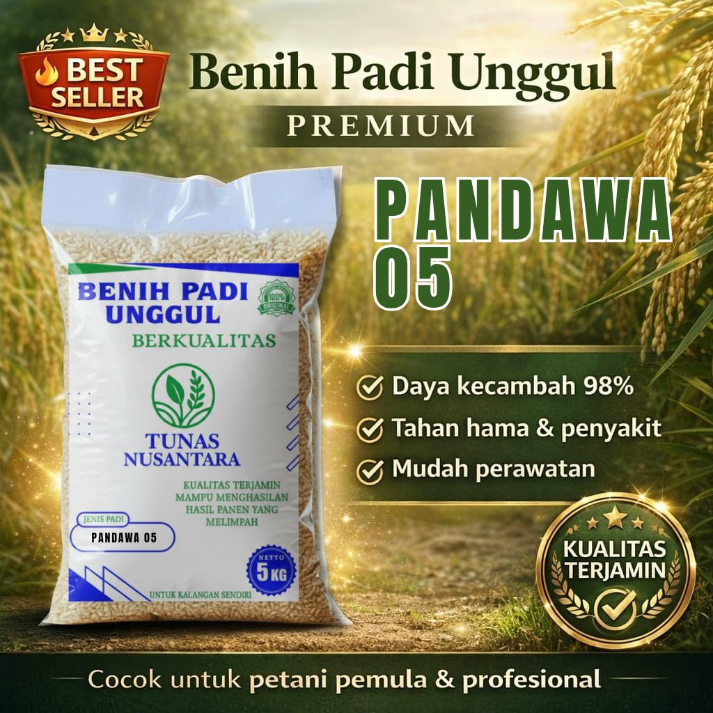 Benih padi unggul PANDAWA P05 kemasan 5kg original padi unggul berkualitas