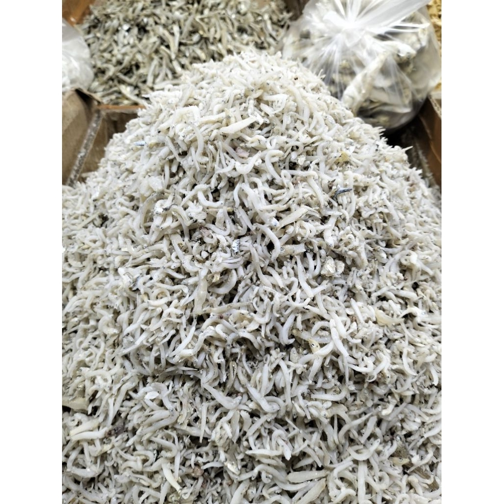 Ikan Teri Medan asli