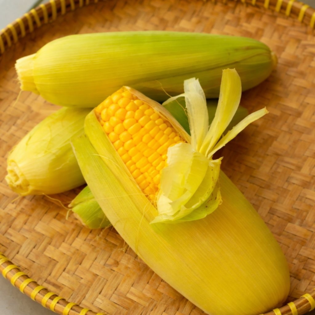 Jagung Manis Kulit 500gr Fresh – Jagung Segar Berkulit Manis untuk Rebus, Bakar & Masakan