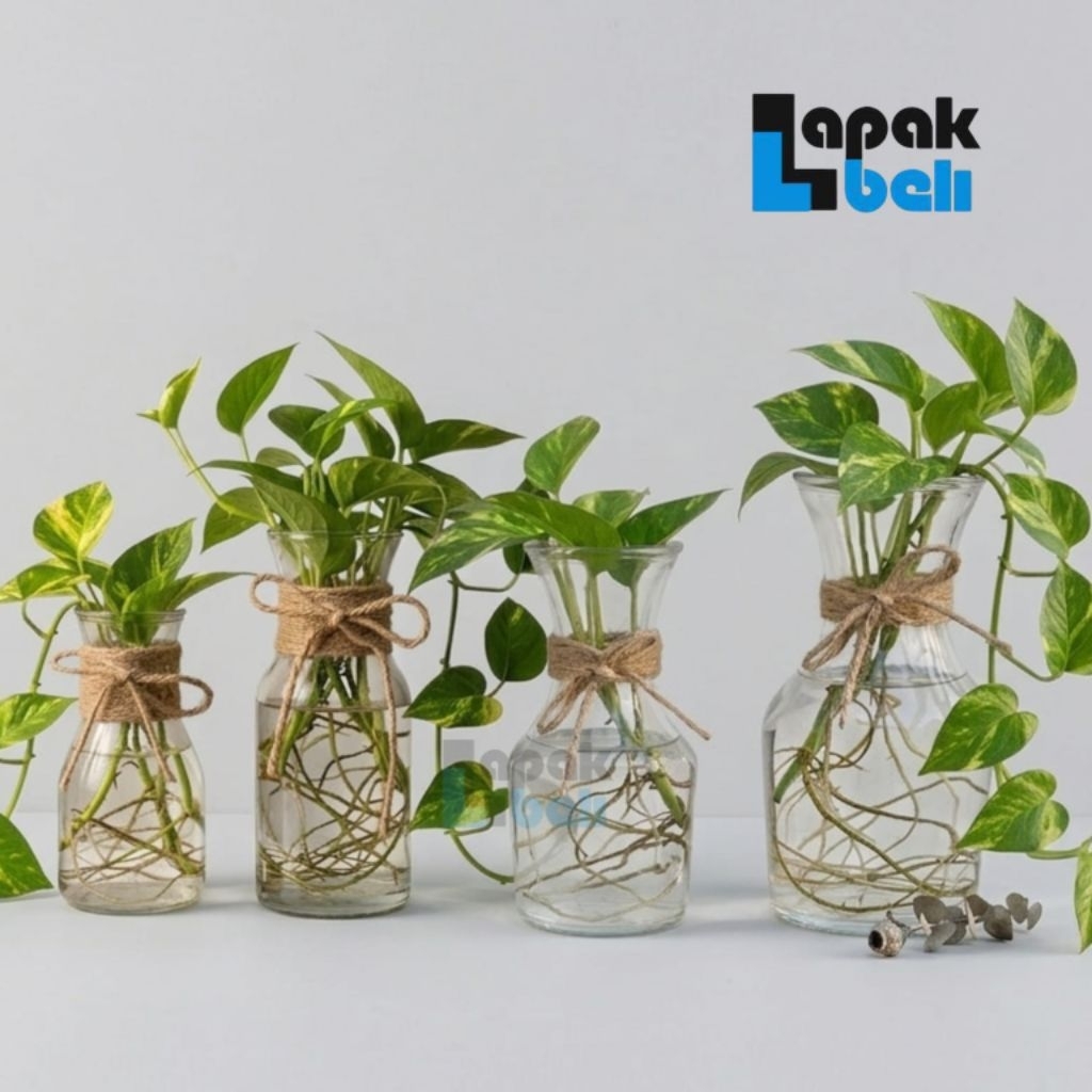 Vas Bunga Kaca / Vas Bunga Karaf / Vas Bunga Bening / Pot Tanaman Artifisial Hidroponik Estetik