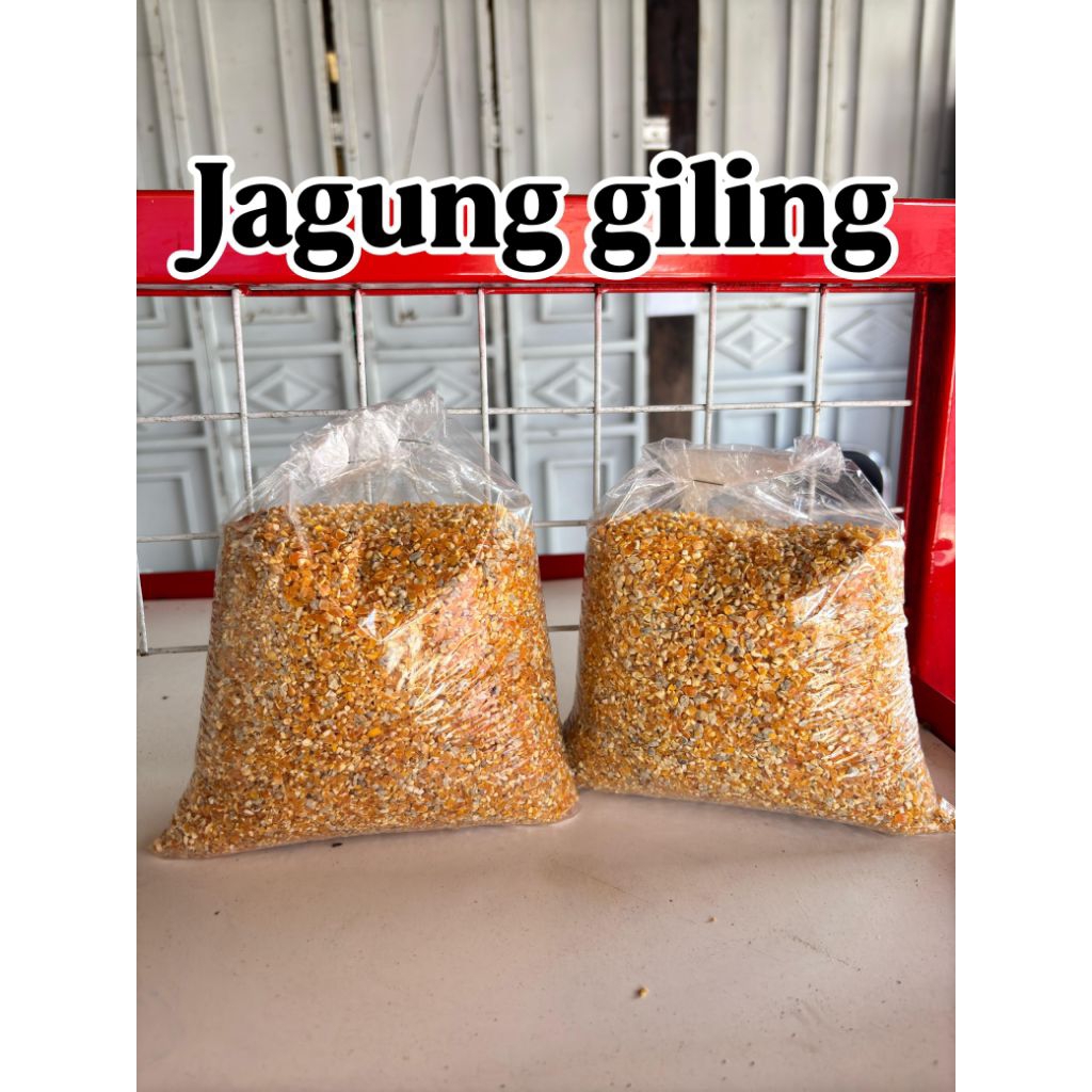 Jagung giling pakan burung