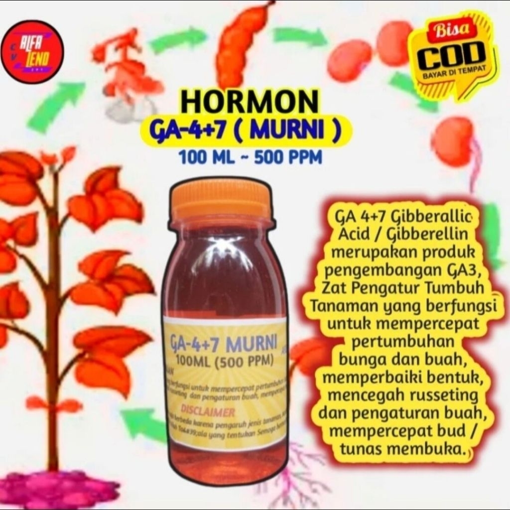 ZPT GA4+7 Hormon tanaman mempercepat pembungaan dan memperbesar buah anti rontok