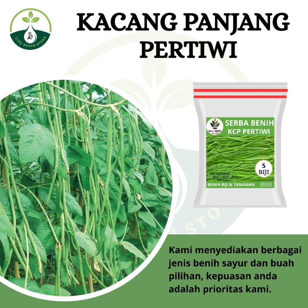 { 5 BIJI } Benih kacang panjang pertiwi / bibit kacang panjang / biji merah putih / pertiwi