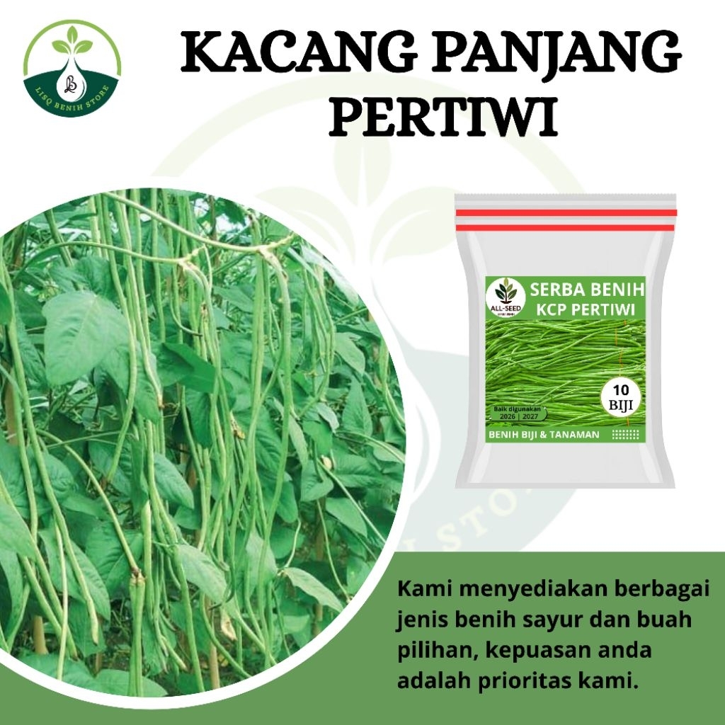 { 10 BIJI } Benih kacang panjang pertiwi / bibit kacang panjang / biji merah putih / kacang pertiwi