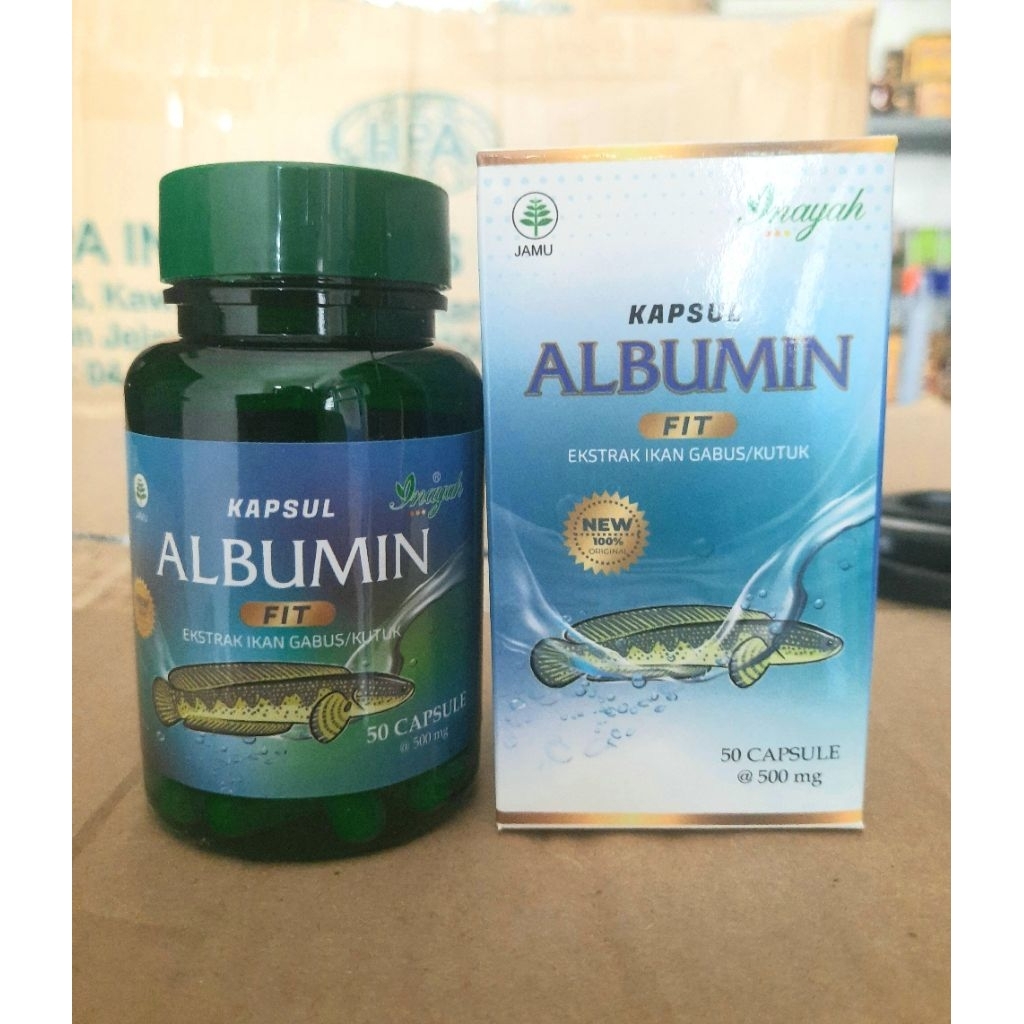 Kapsul ikan gabus albumin fit ORIGINAL