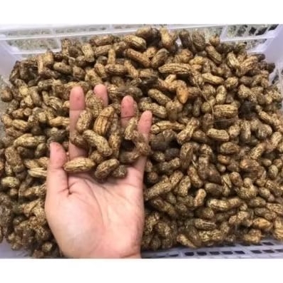 KACANG TANAH KULIT MENTAH 1KG