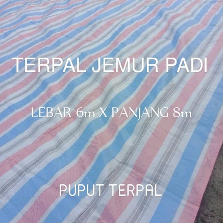 Terpal Jemur Padi 6x8 Meter Terpal Hamparan Jagung
