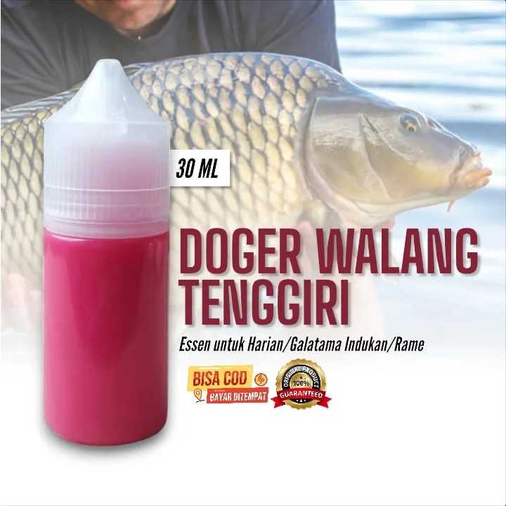 Essen Ikan Mas Aroma Stroberi Melon Kweni 30g- Cocok Segala Umpan, Aman Dipakai, Medan Air Beragam