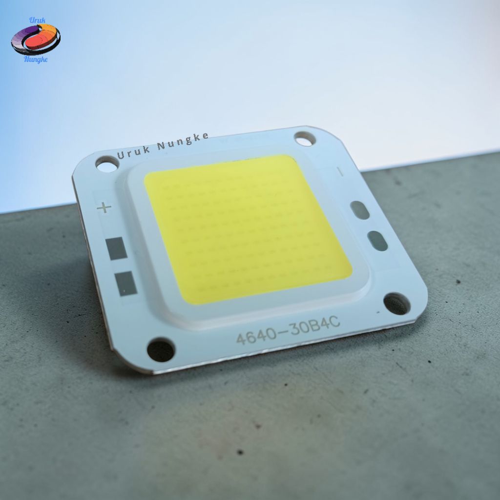 Bola Lampu LED Chip 12V 30W - COB DC 12 Volt