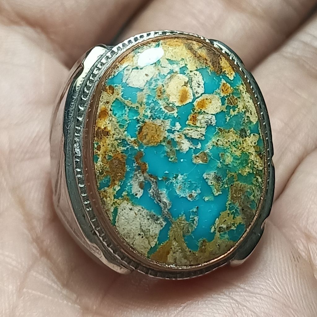 Pirus persia biru tosca lawasan
