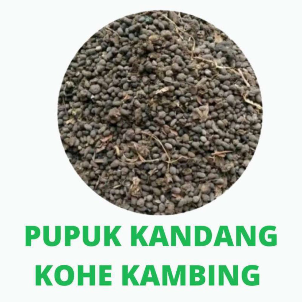 kohe kambing kemasan 25 kg