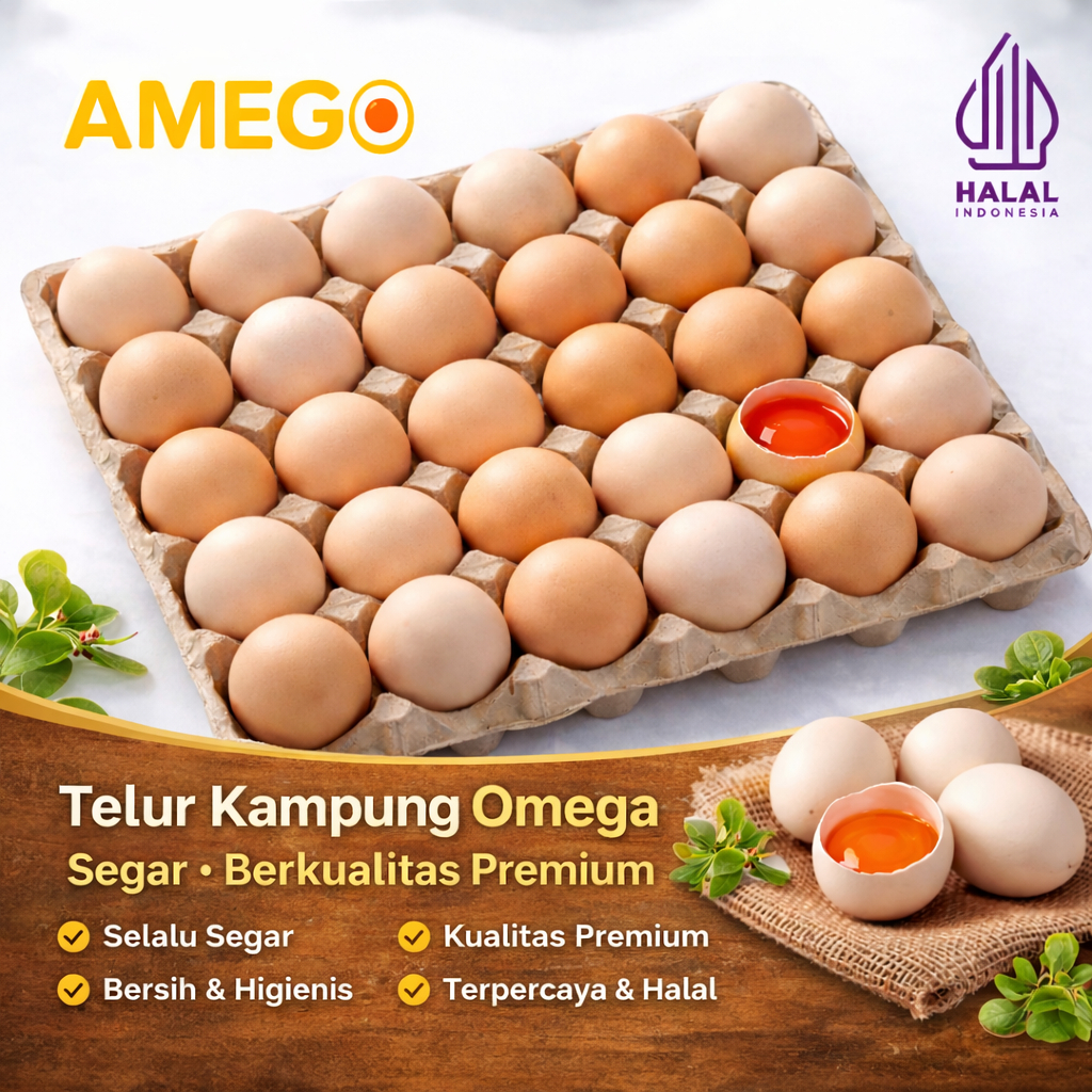 Telur ayam kampung omega 3