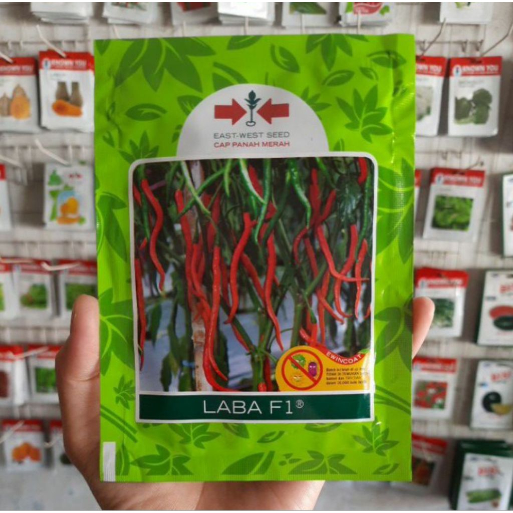 benih cabai keriting LABA F1 1750 butir