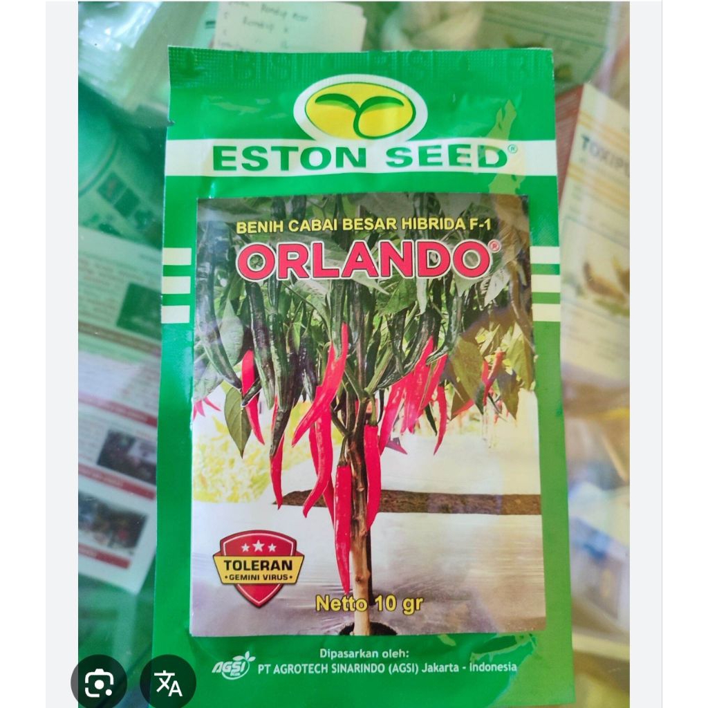 benih cabe besar ORLANDO F1 10 GRAM