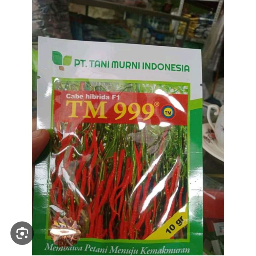 benih cabe TM 999 10 gram