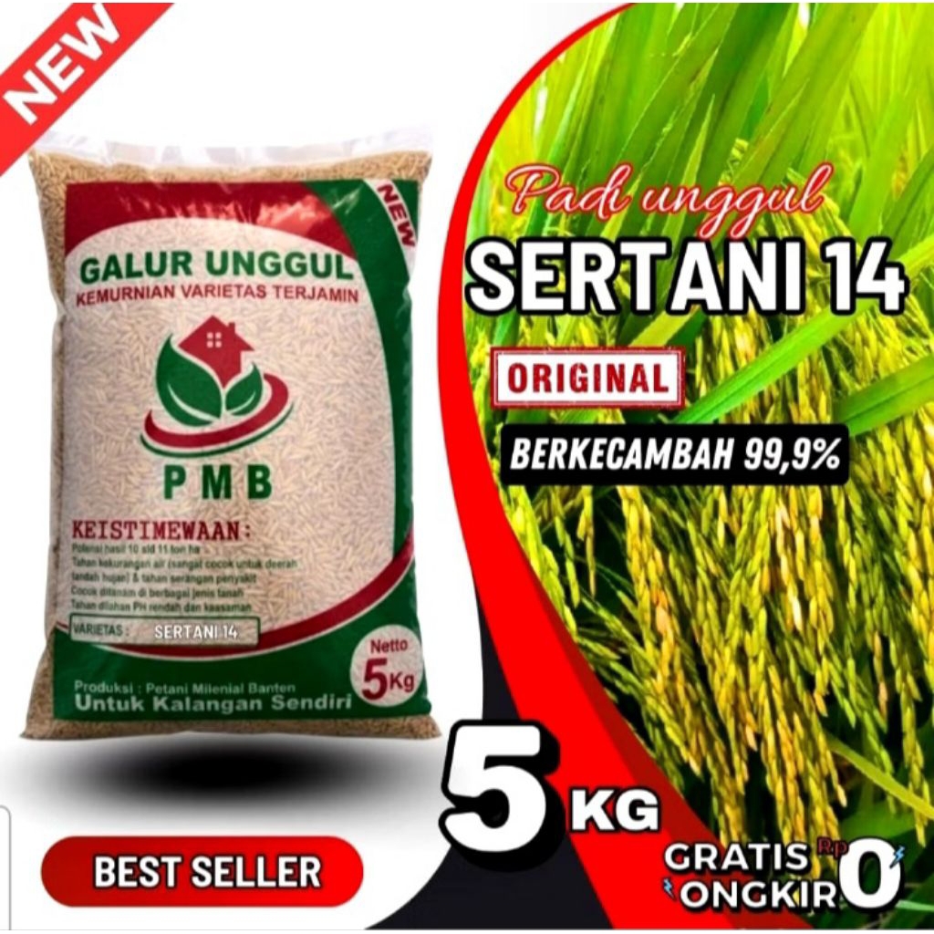 benih padi sertani 14 original