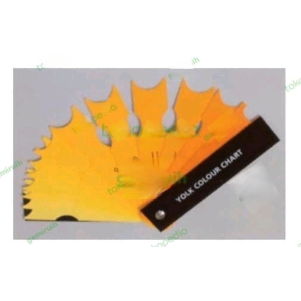 Egg Yolk Color Chart, Kipas bagan warna kuning telur 2019 Edition