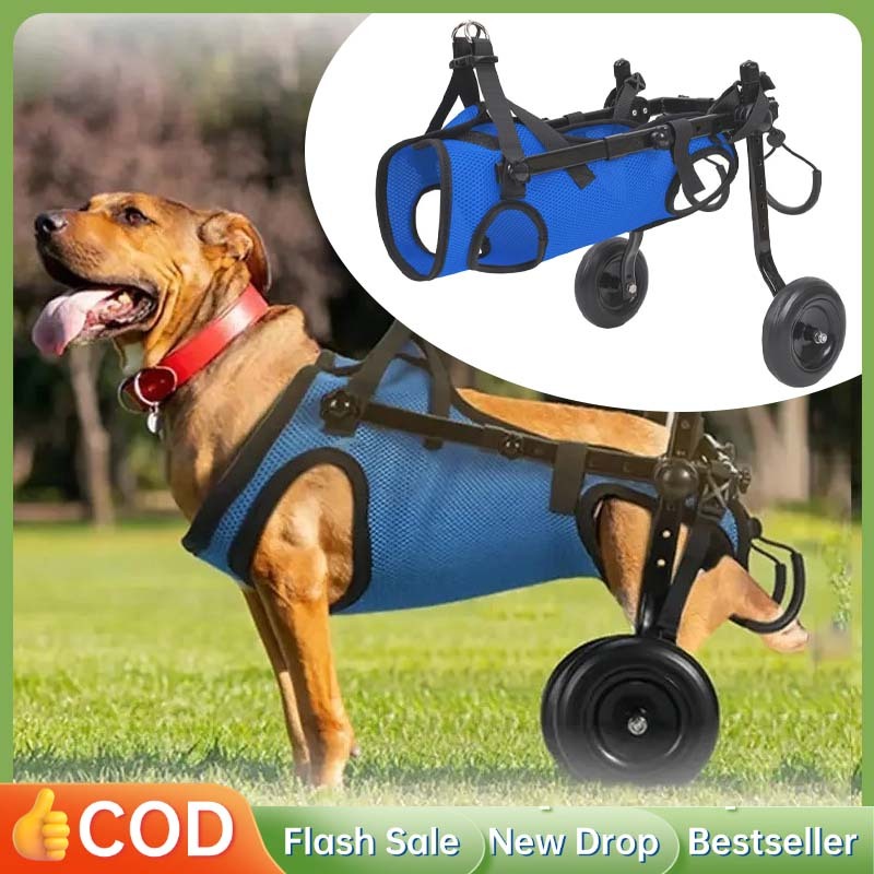 Wheelchair Kucing Perlengkapan Anjing Peliharaan Wheelchair Dog Kursi Roda Hewan