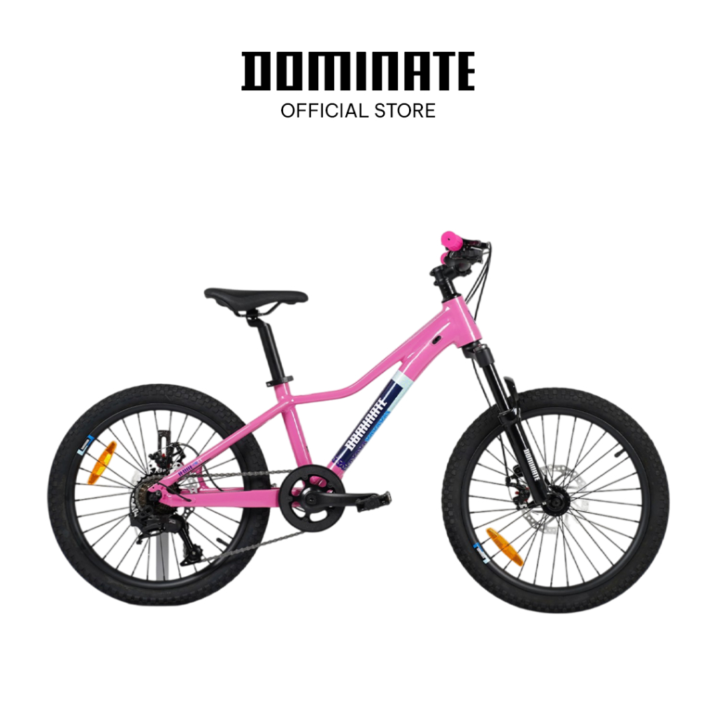 Sepeda mtb anak Dominate A-One 20 inch