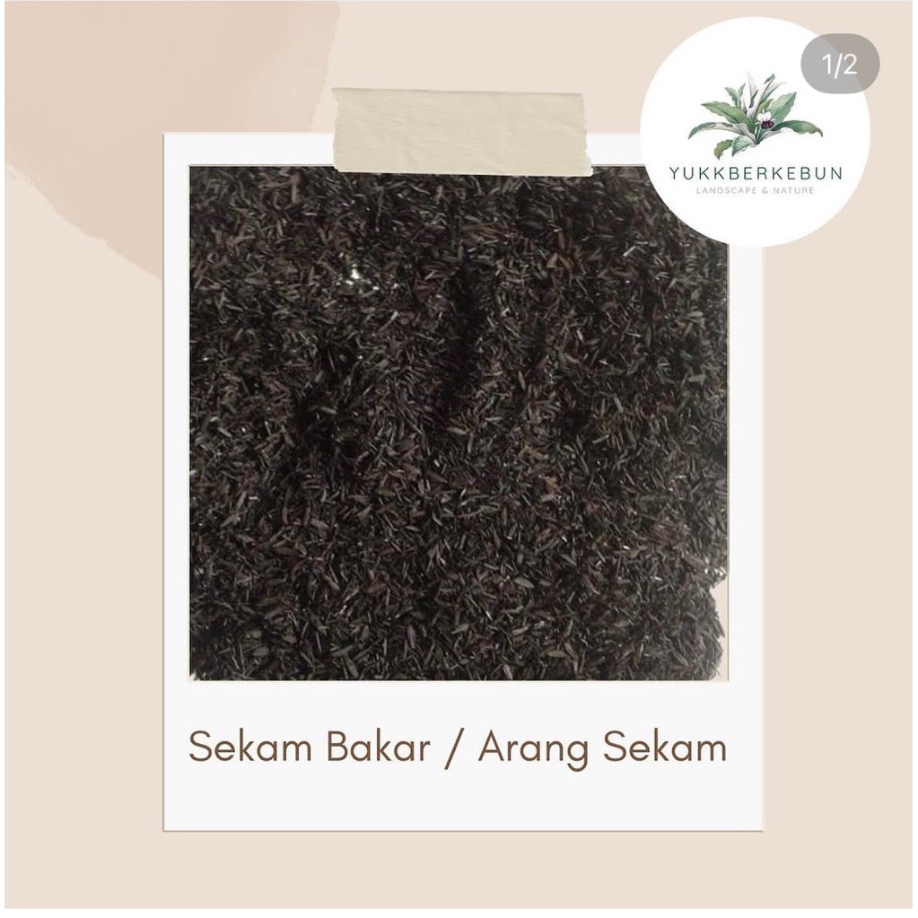 sekam barang/ arang sekam