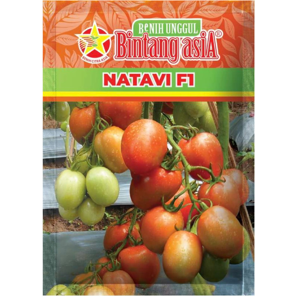 Benih Tomat NATAVI F1 10 Gram Bintang Asia