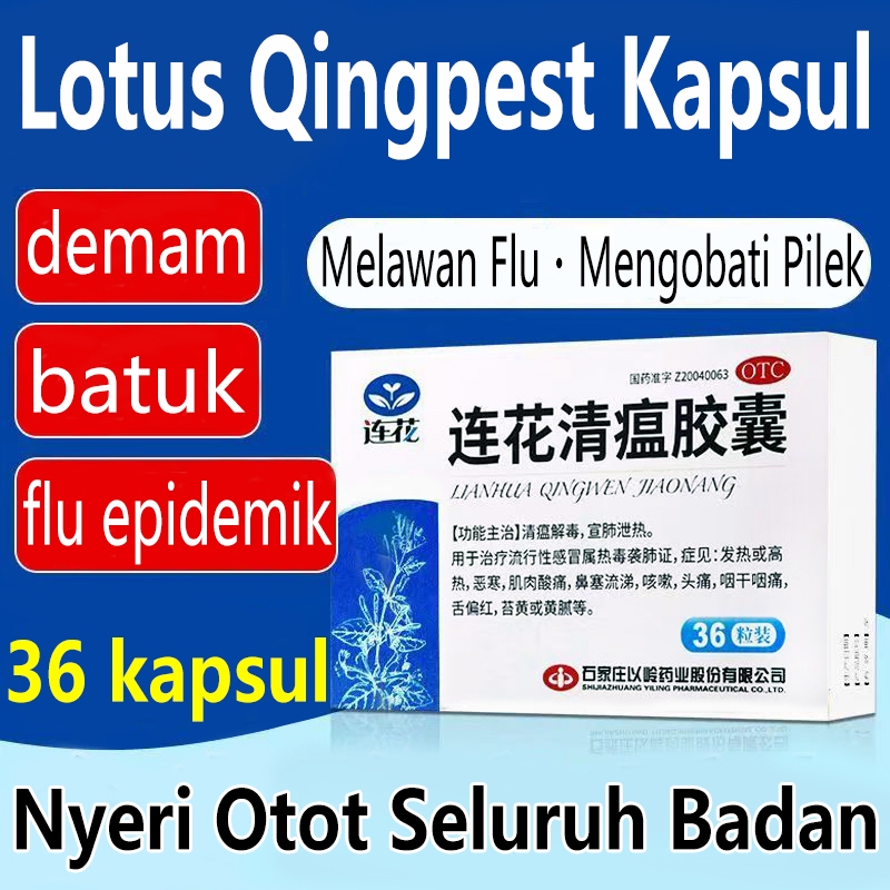Kapsul Herbal Lianhua Qingwen 36 Kapsul Meringankan Gejala Flu untuk mengobati gejala seperti batuk,