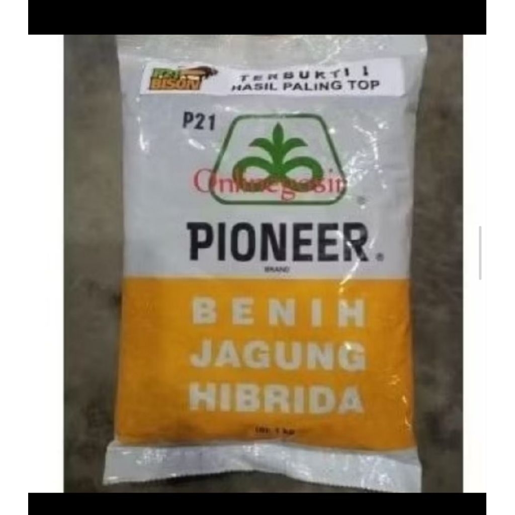 BENIH JAGUNG HIBRIDA PIONEER P21 BISON KEMASAN 1KG ORRIGINAL
