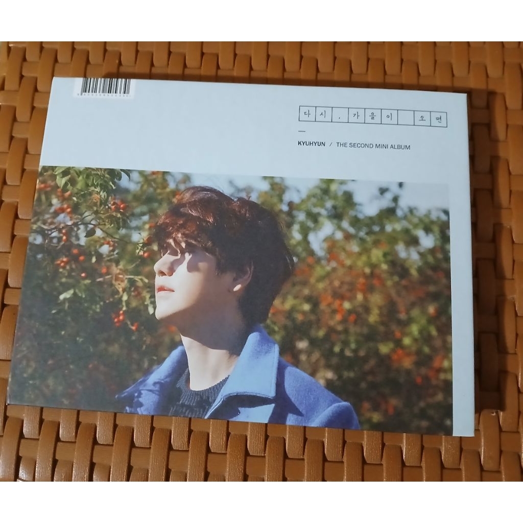 Kyuhyun 2nd mini album 'Fall, Once Again' (album only & poster lipat)
