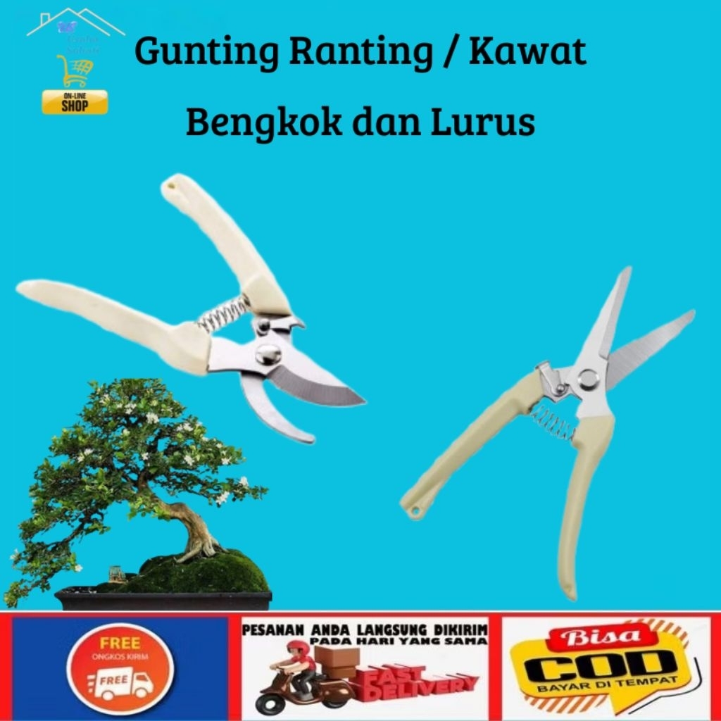 Gunting Ranting Dahan Kayu Pohon Bengkok Lurus