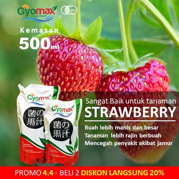 PUPUK STRAWBERRY - GYOMAX - 500 ML