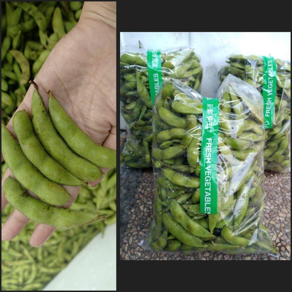 {KHUSUS PULAU JAWA} Edamame Original 900gr Isi Banyak Segar/ Edamame Kedelai Jepang Fress Petik Dari