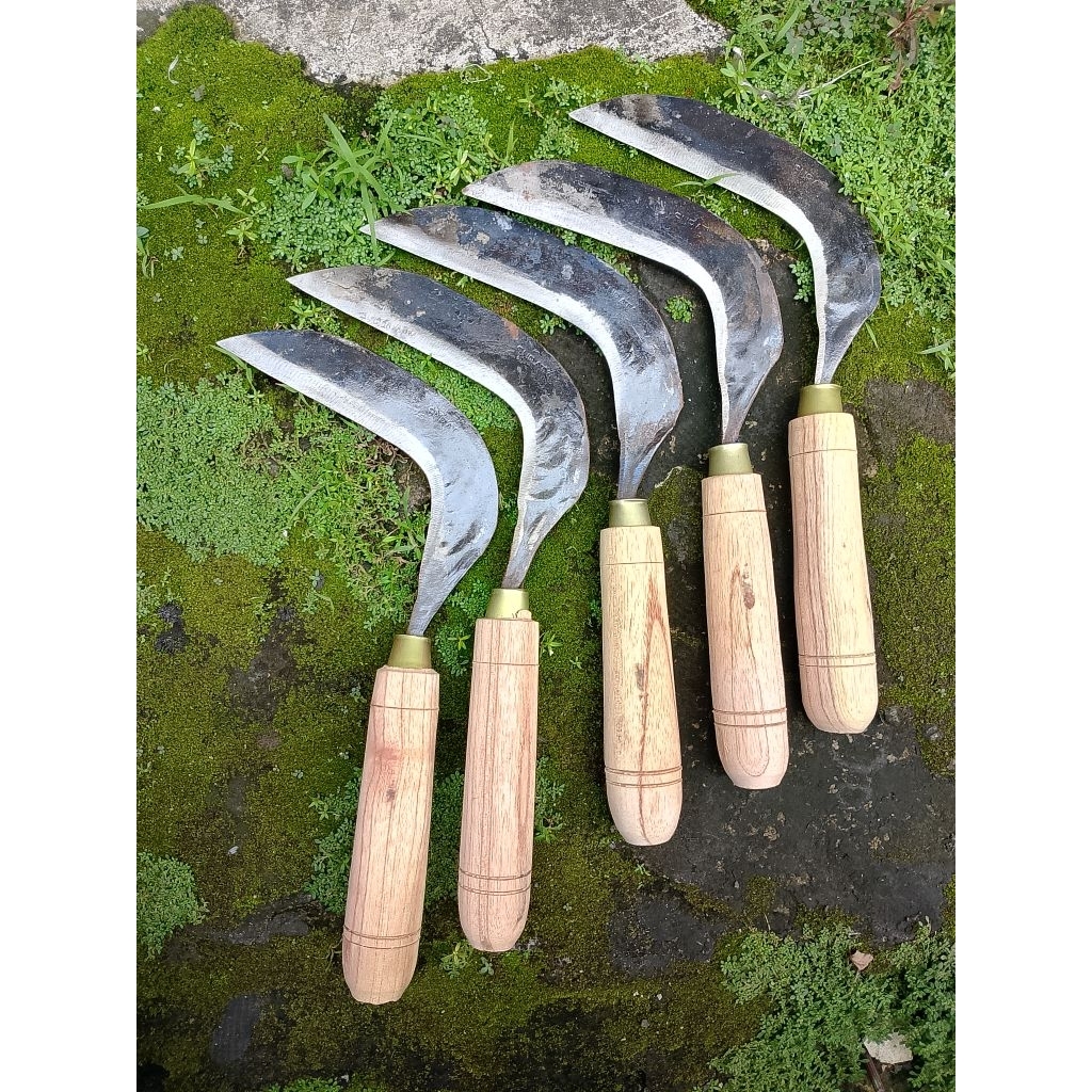 Arit Padi Dan Rumput Bahan Baja Super Tajam