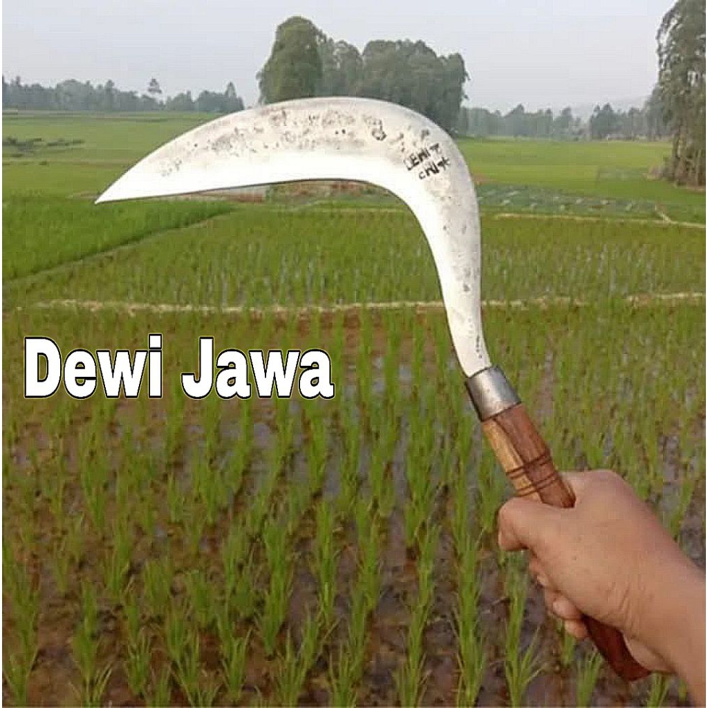Pengaritan Dari Garut Jawa Barat