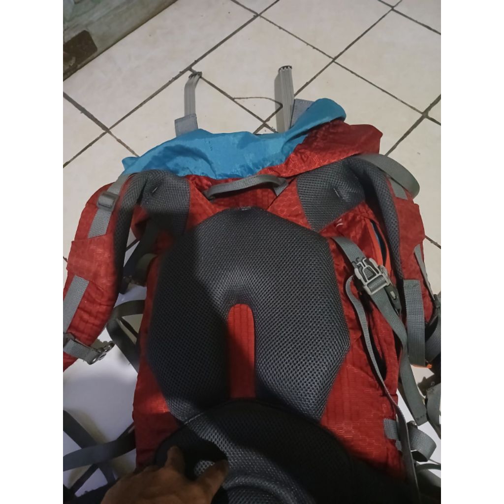 cariel consina corsoben